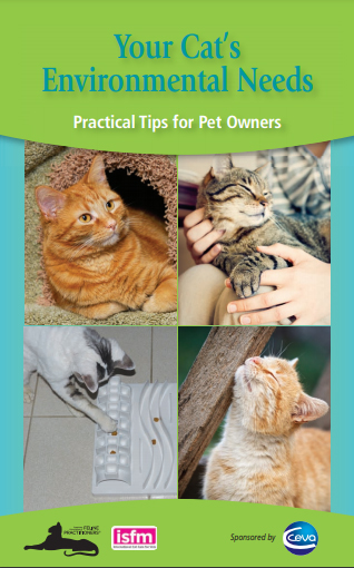 Your Cat’s Environmental Needs