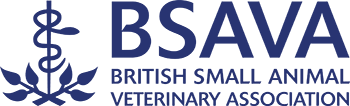 bsava-logo-1